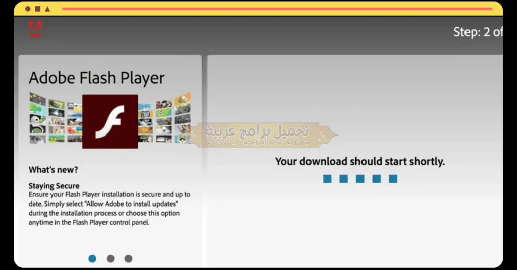 في هذه الصورة التي تعرض قسم "نبذة عنا" في برنامج Adobe Flash Player