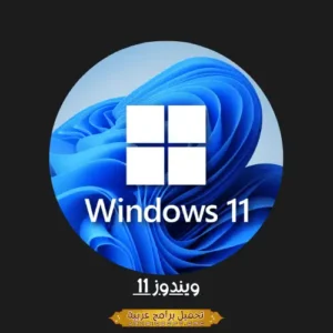windows 11