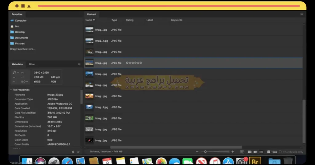 Adobe Bridge CC 2021-4